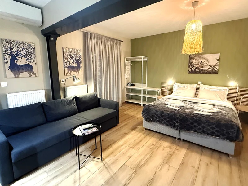 AIRNEST Comfort Residence - Πανοραμική άποψη ενιαίου χώρου με σαλόνι και υπνοδωμάτιο