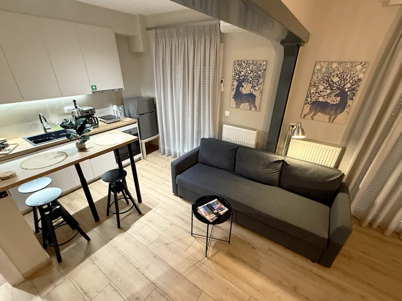 Airnest Comfort Residence - Ενιαίος χώρος σαλονιού και κουζίνας με μοντέρνο καναπέ και πάγκο φαγητού