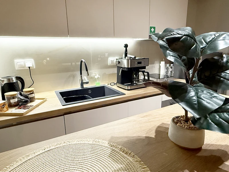 Airnest Comfort Residence - Καθαρός νεροχύτης κουζίνας.